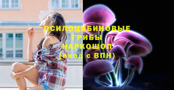 дживик Арсеньев