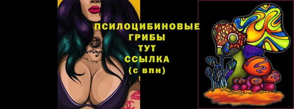 метадон Армянск