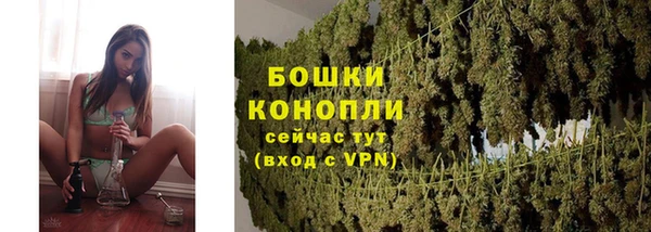 spice Аркадак
