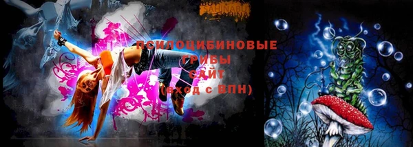 дживик Арсеньев