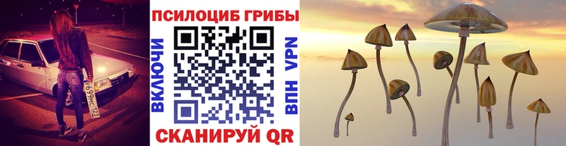 Псилоцибиновые грибы Psilocybe  Злынка 